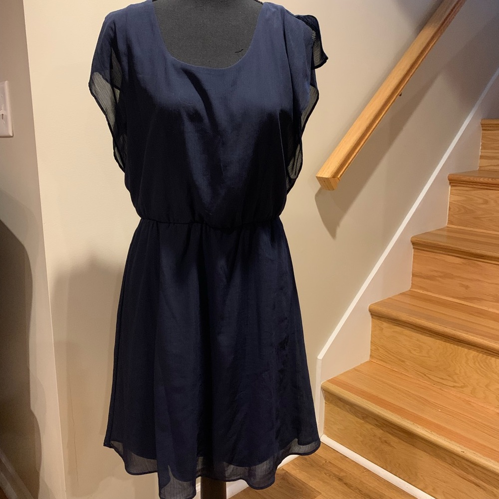 The Limited navy blue above the knee dress, great for work or other occasions!